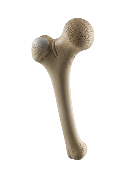 Imagen PNG para descargar